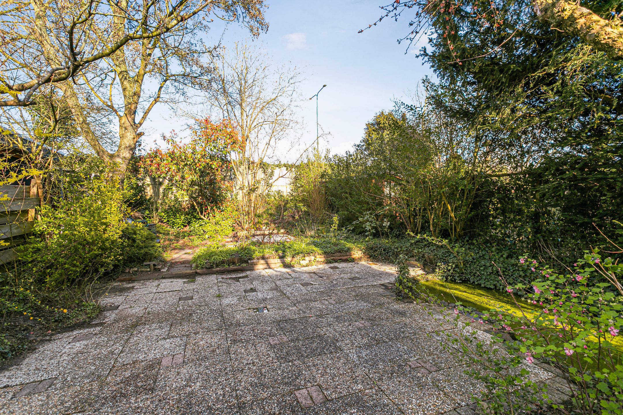 Photo 21 of Boomstede 279