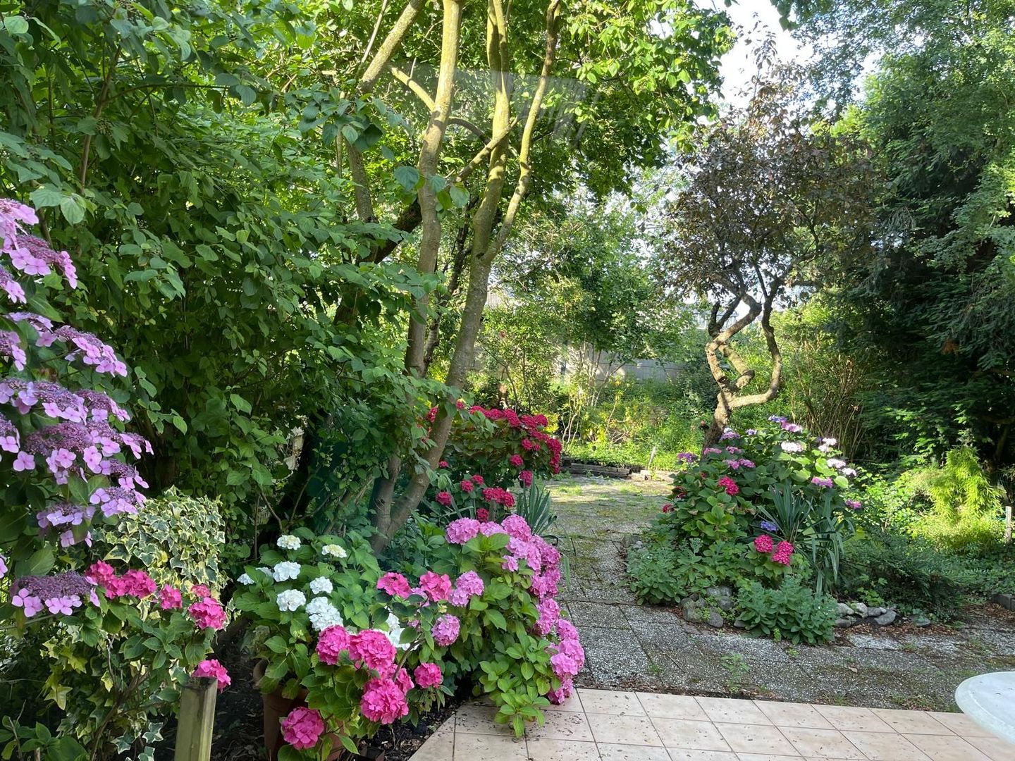 Photo 25 of Boomstede 279