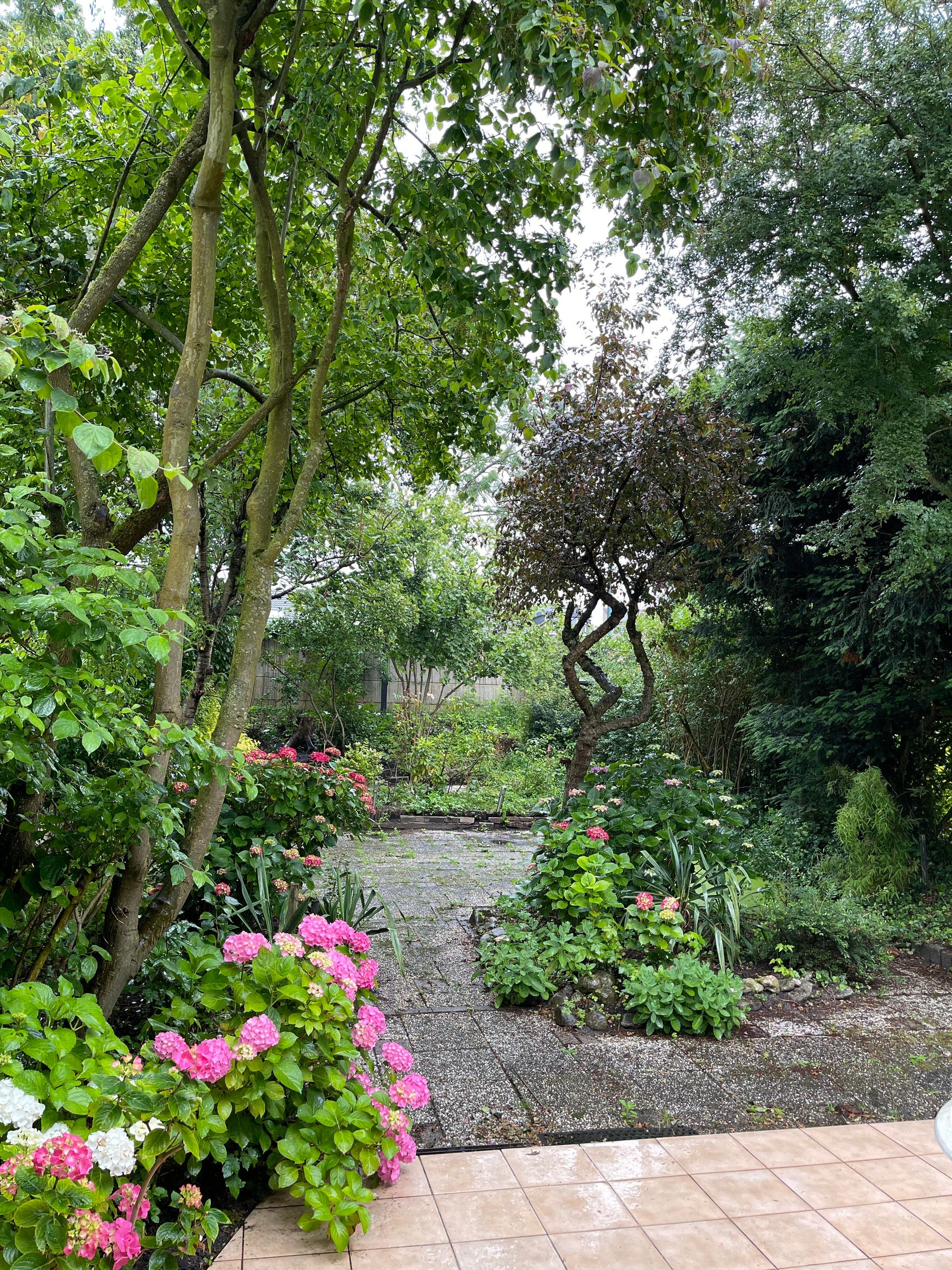 Photo 27 of Boomstede 279