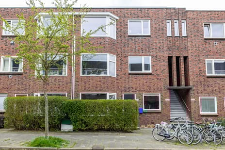 Van Royenlaan thumbnail