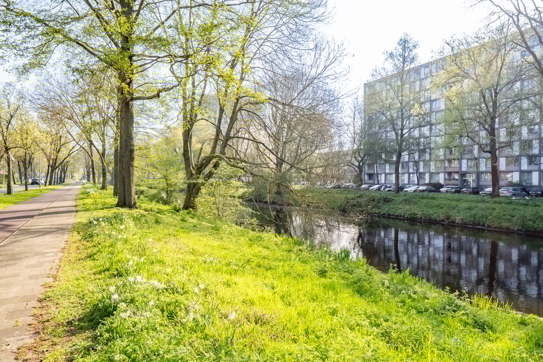 Foto 32 van Peetersdreef 234