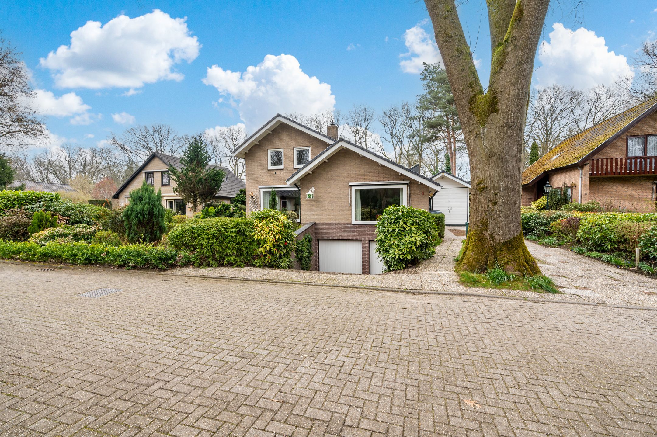 Photo 42 of Onstein 1