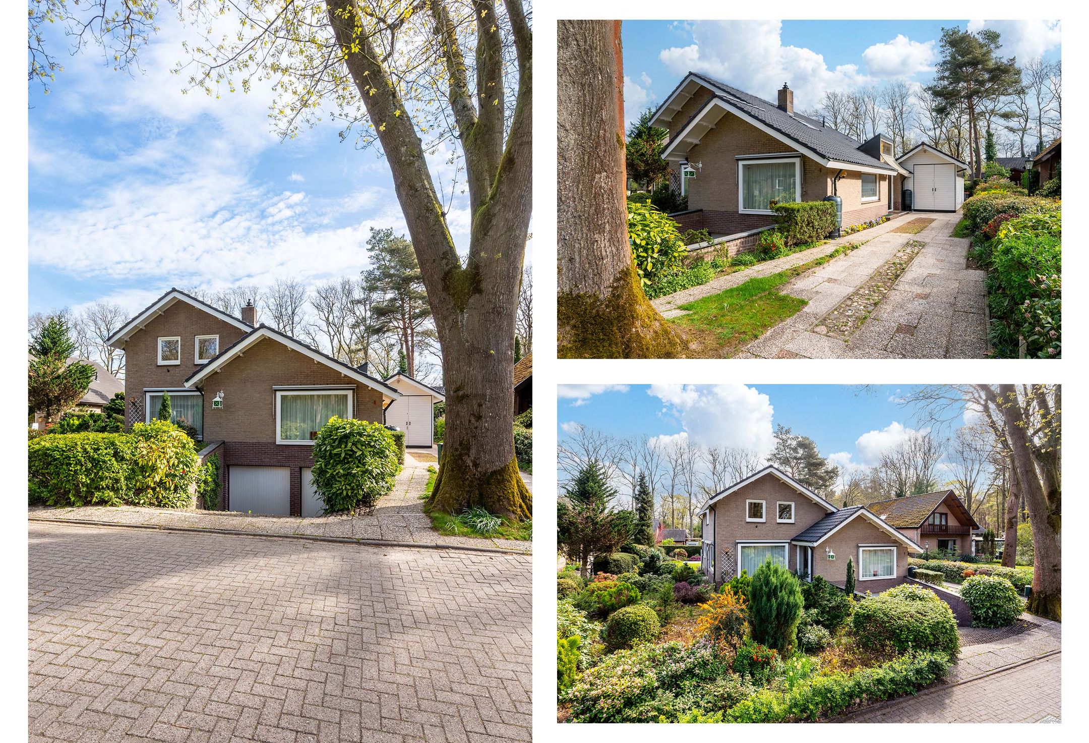 Photo 45 of Onstein 1