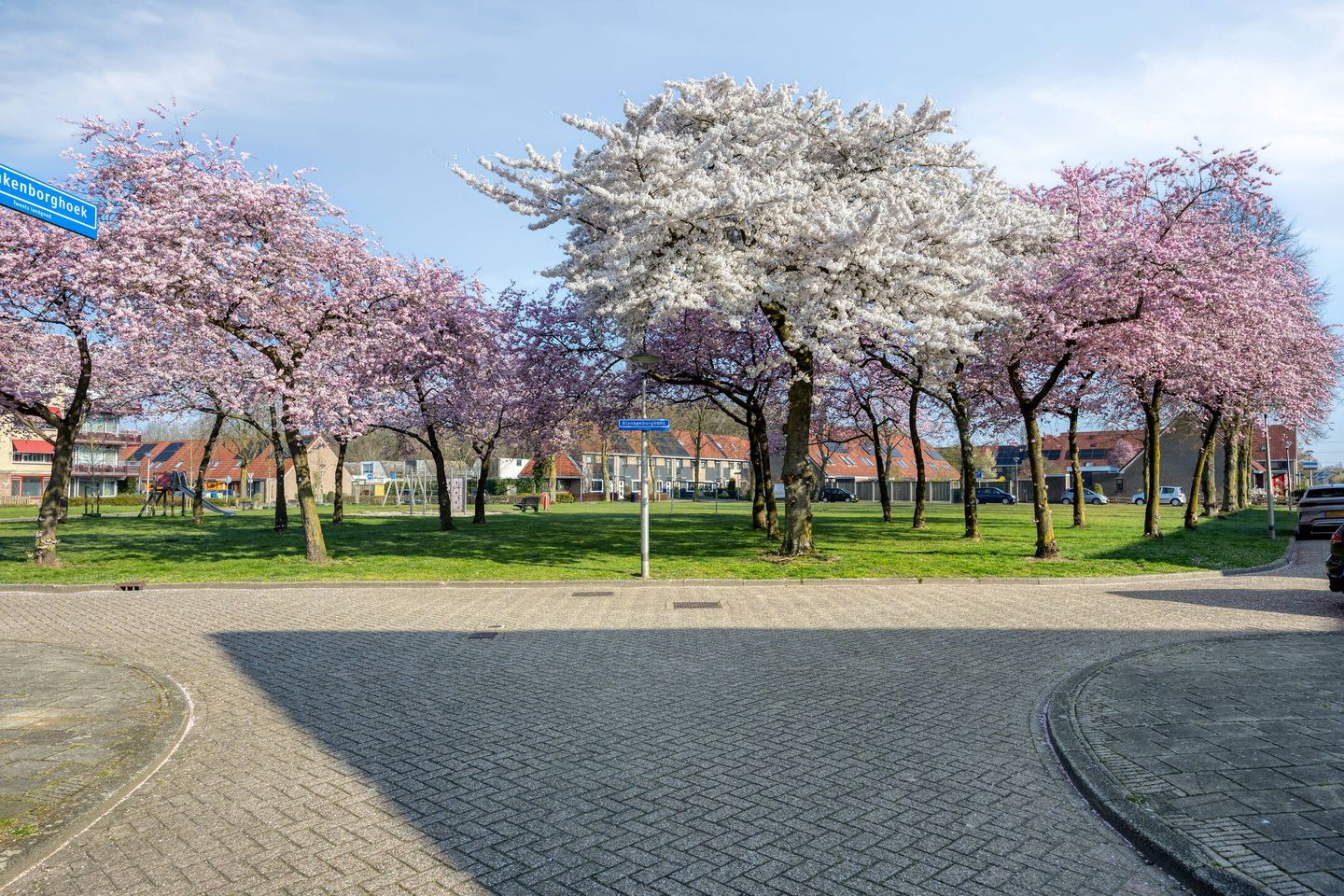 Foto 4 van Blankenborghoek 11
