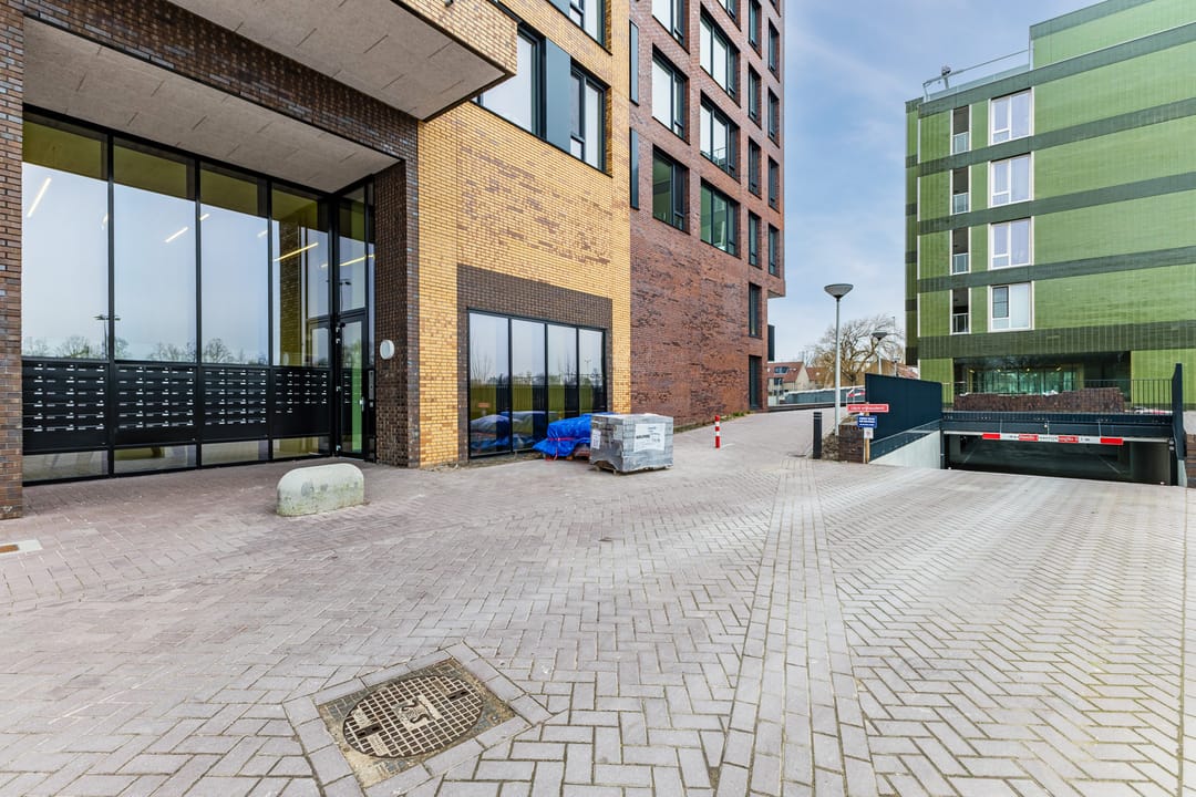 Foto 13 van Mahoniehout 397