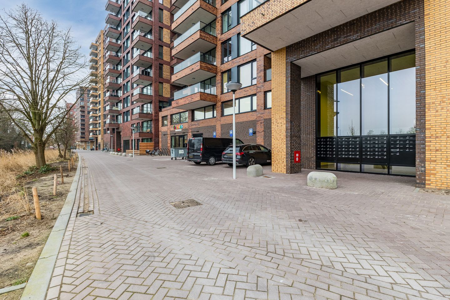 Foto 14 van Mahoniehout 397