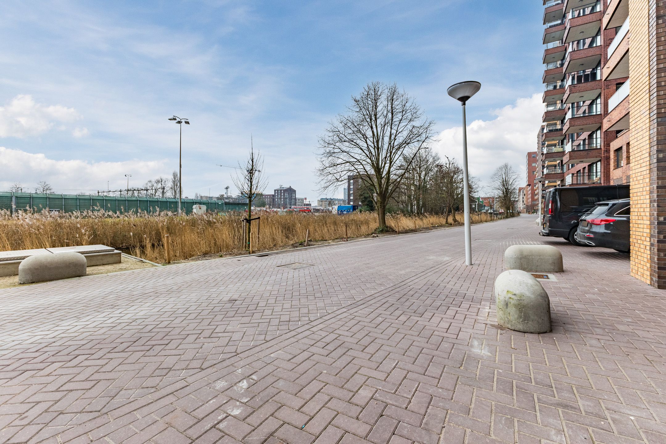 Foto 15 van Mahoniehout 397