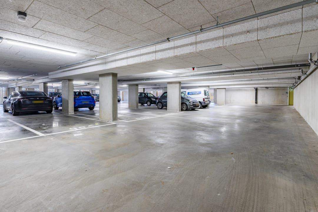 Foto 53 van Mahoniehout 397