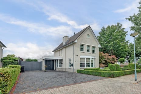 undefined main image