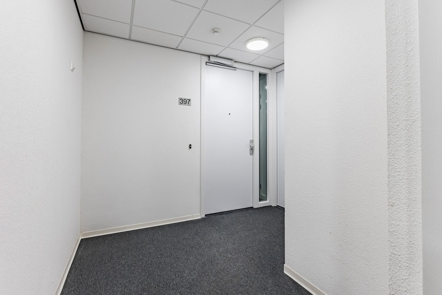 Foto 20 van Mahoniehout 397