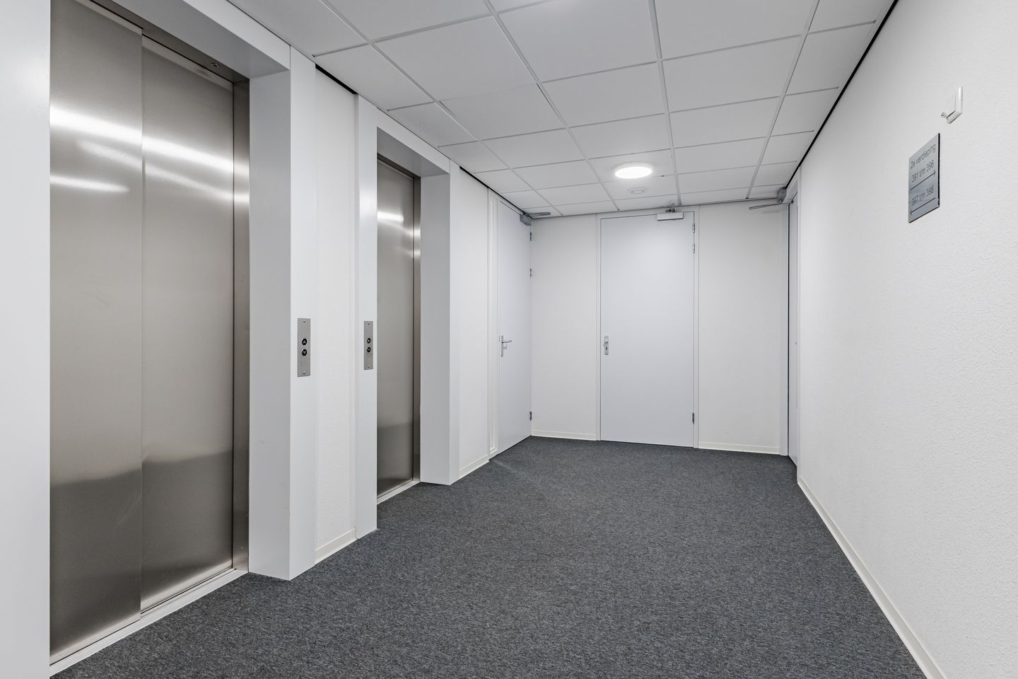 Foto 19 van Mahoniehout 397