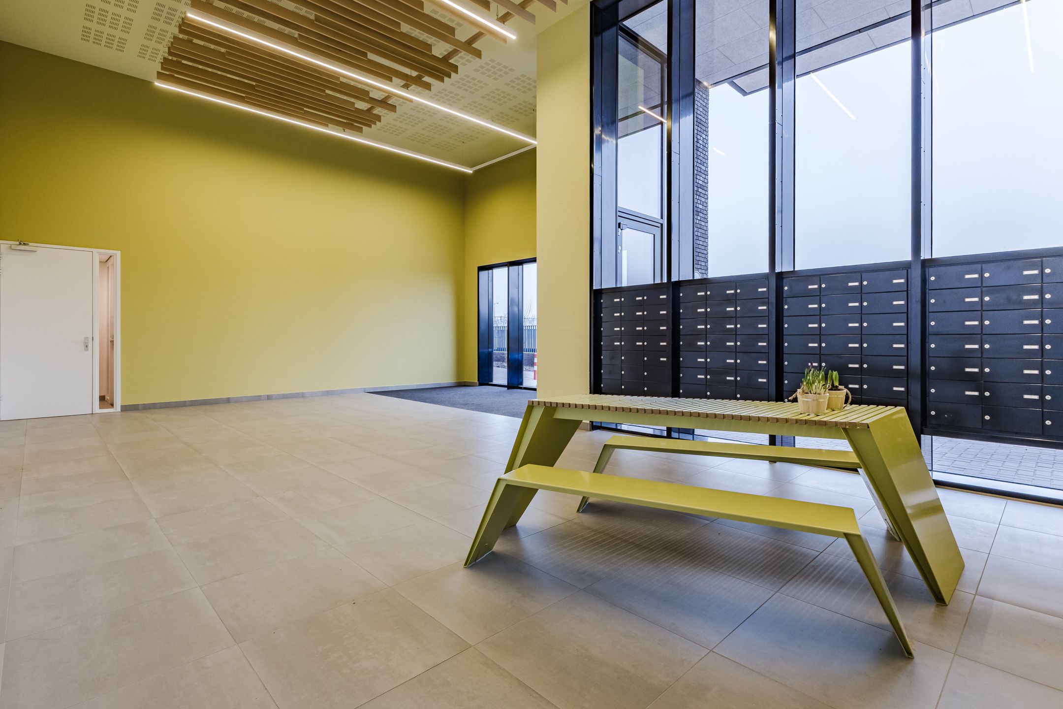 Foto 18 van Mahoniehout 397