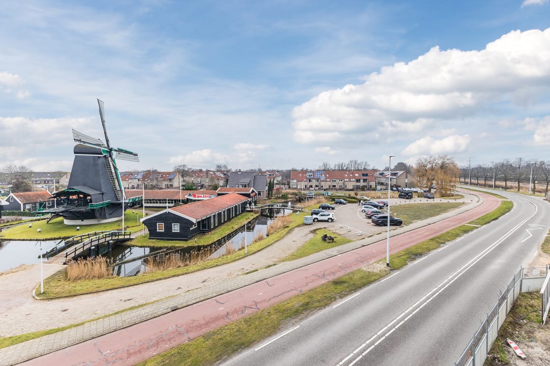 Foto 7 van Mahoniehout 397