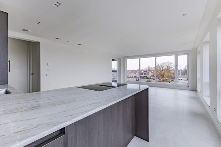 Mahoniehout 397