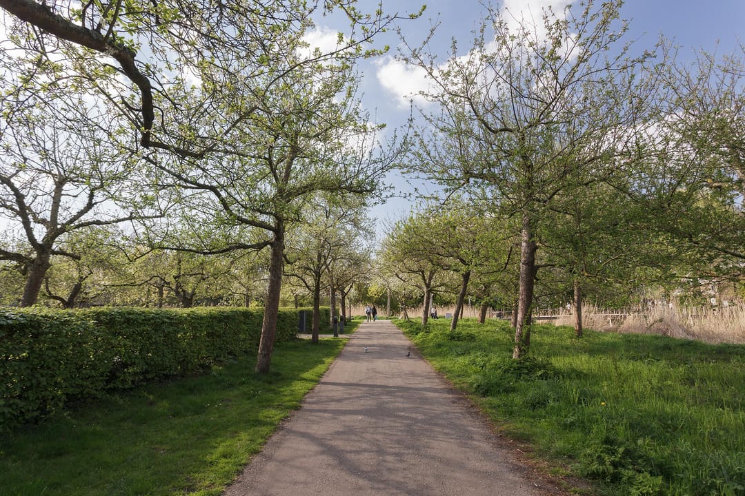 Foto 38 van Kamerlingh Onneslaan 26