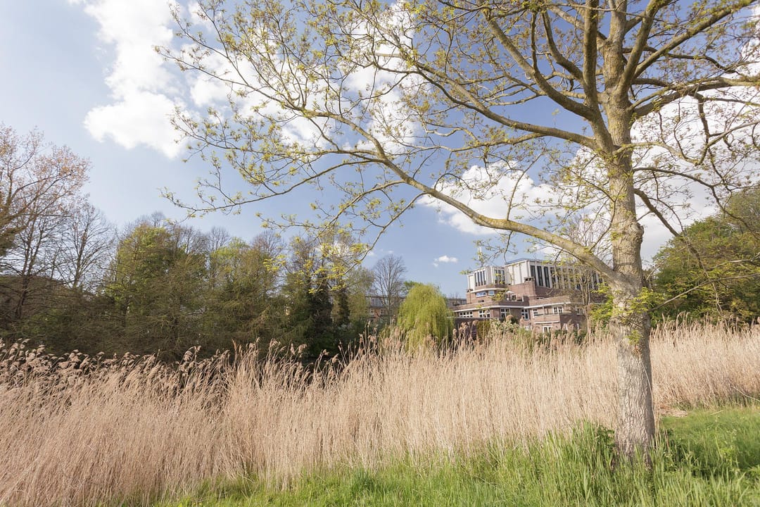 Foto 37 van Kamerlingh Onneslaan 26