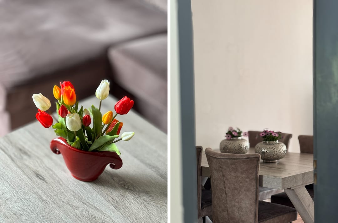 Foto 22 van Tholenseweg 22