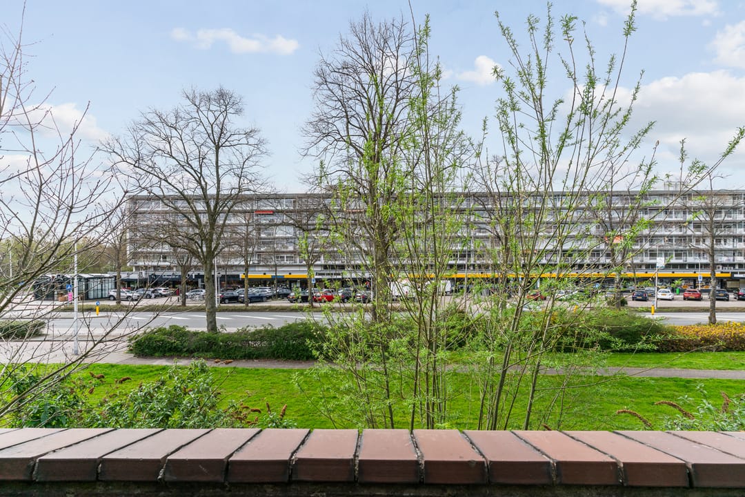 Foto 23 van Tholenseweg 22