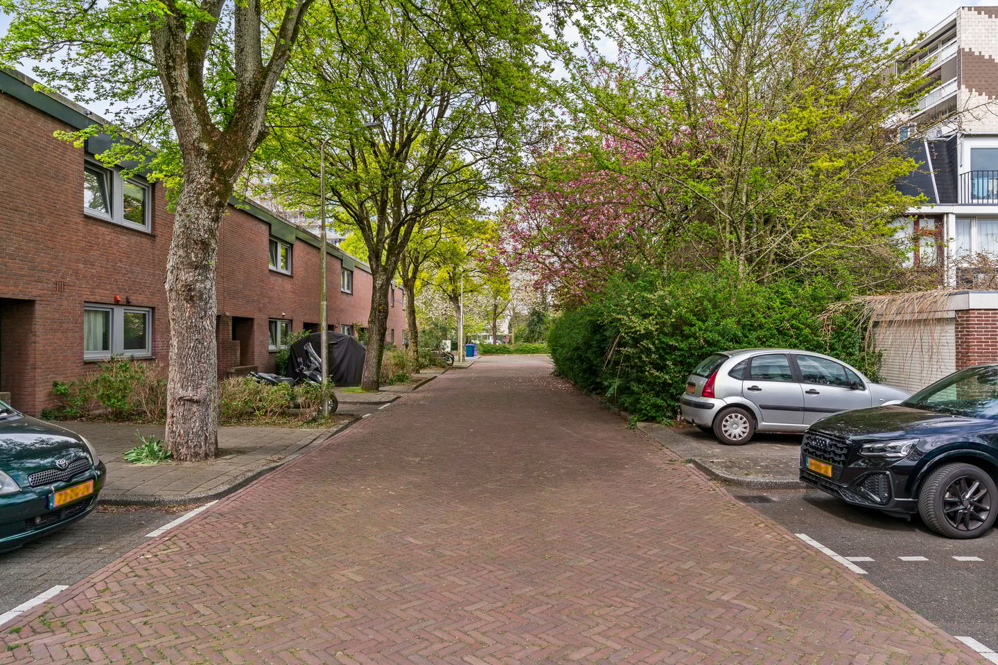 Foto 5 van Tholenseweg 22
