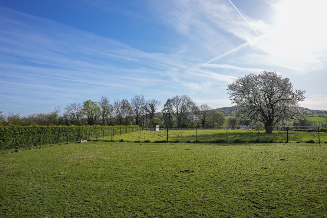 Photo 31 of Wilhelminastraat 61