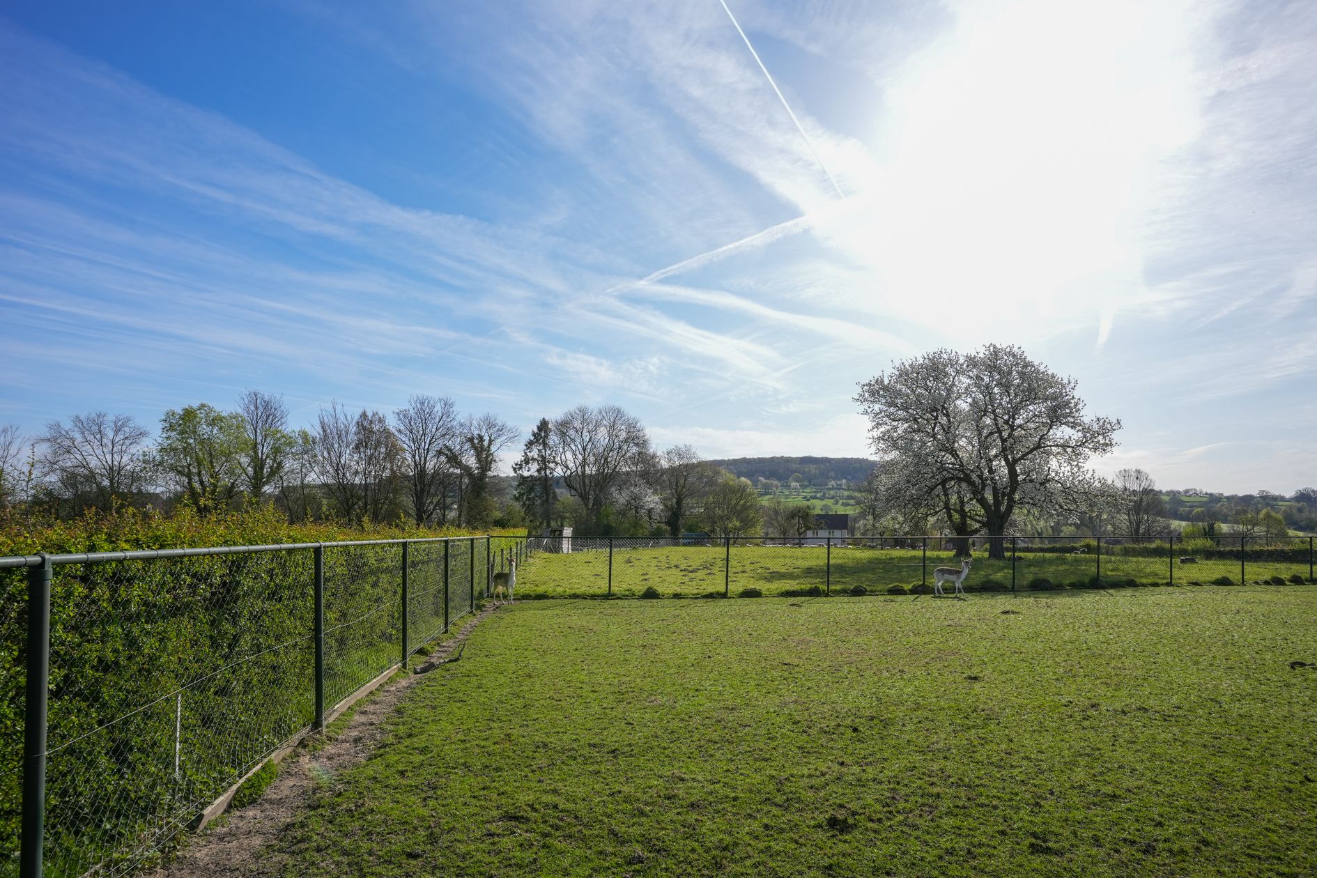 Photo 3 of Wilhelminastraat 61