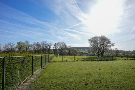 Wilhelminastraat 61 tertiary image