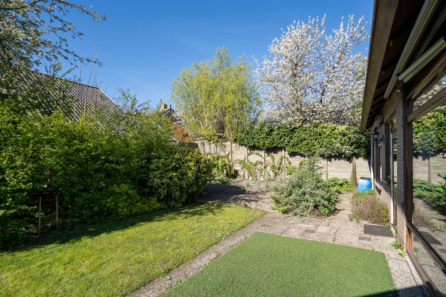 Foto 5 van Mijntjeserf 3