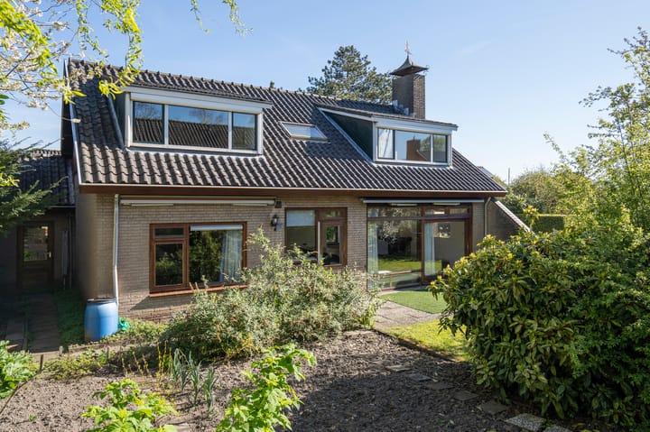 Mijntjeserf 3 main image