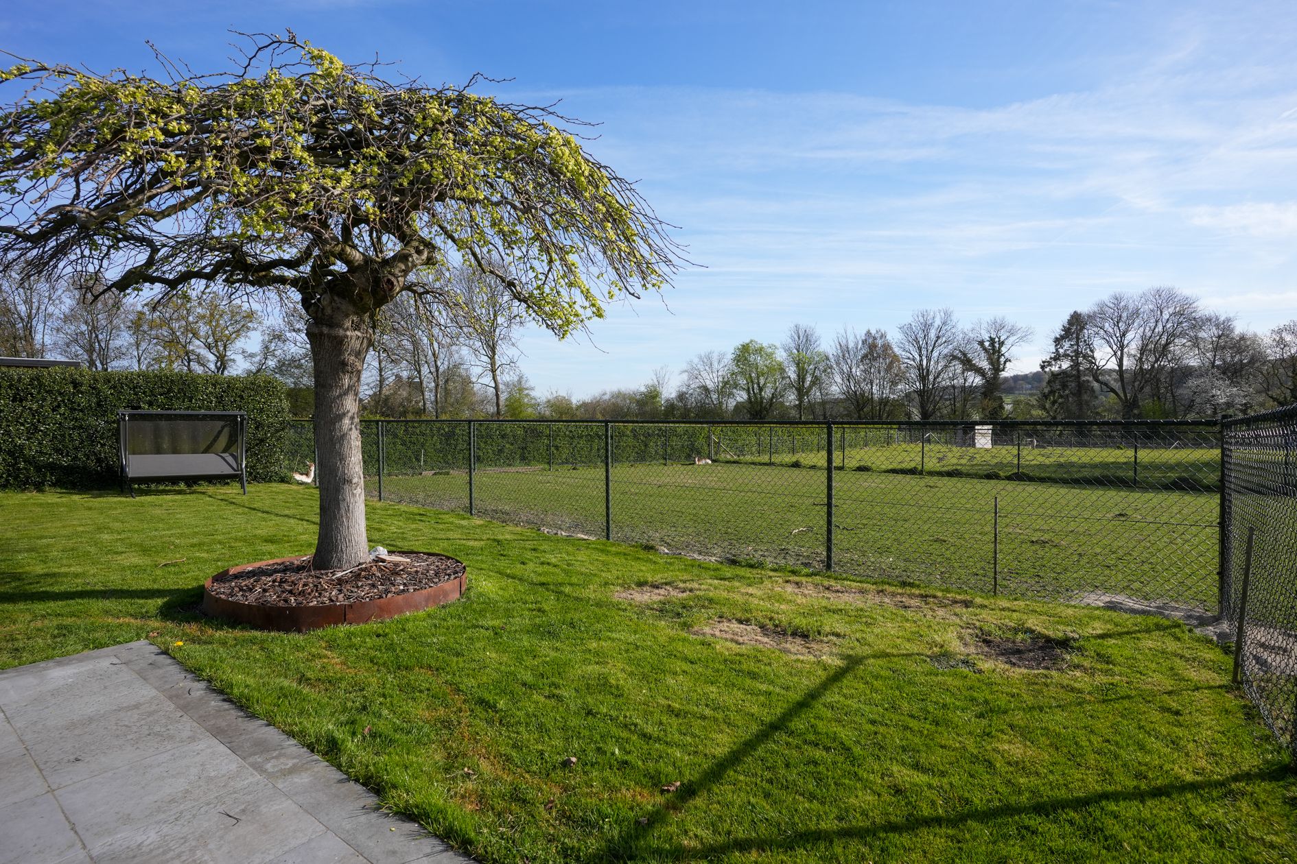 Photo 27 of Wilhelminastraat 61