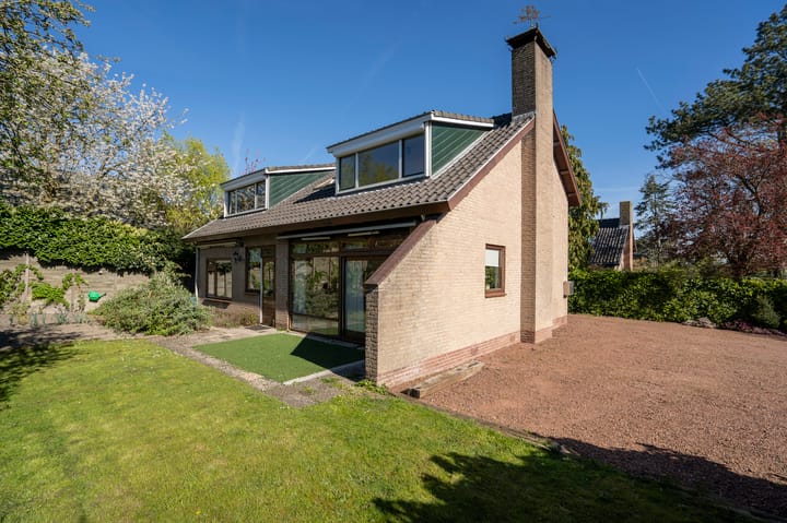 Foto 2 van Mijntjeserf 3