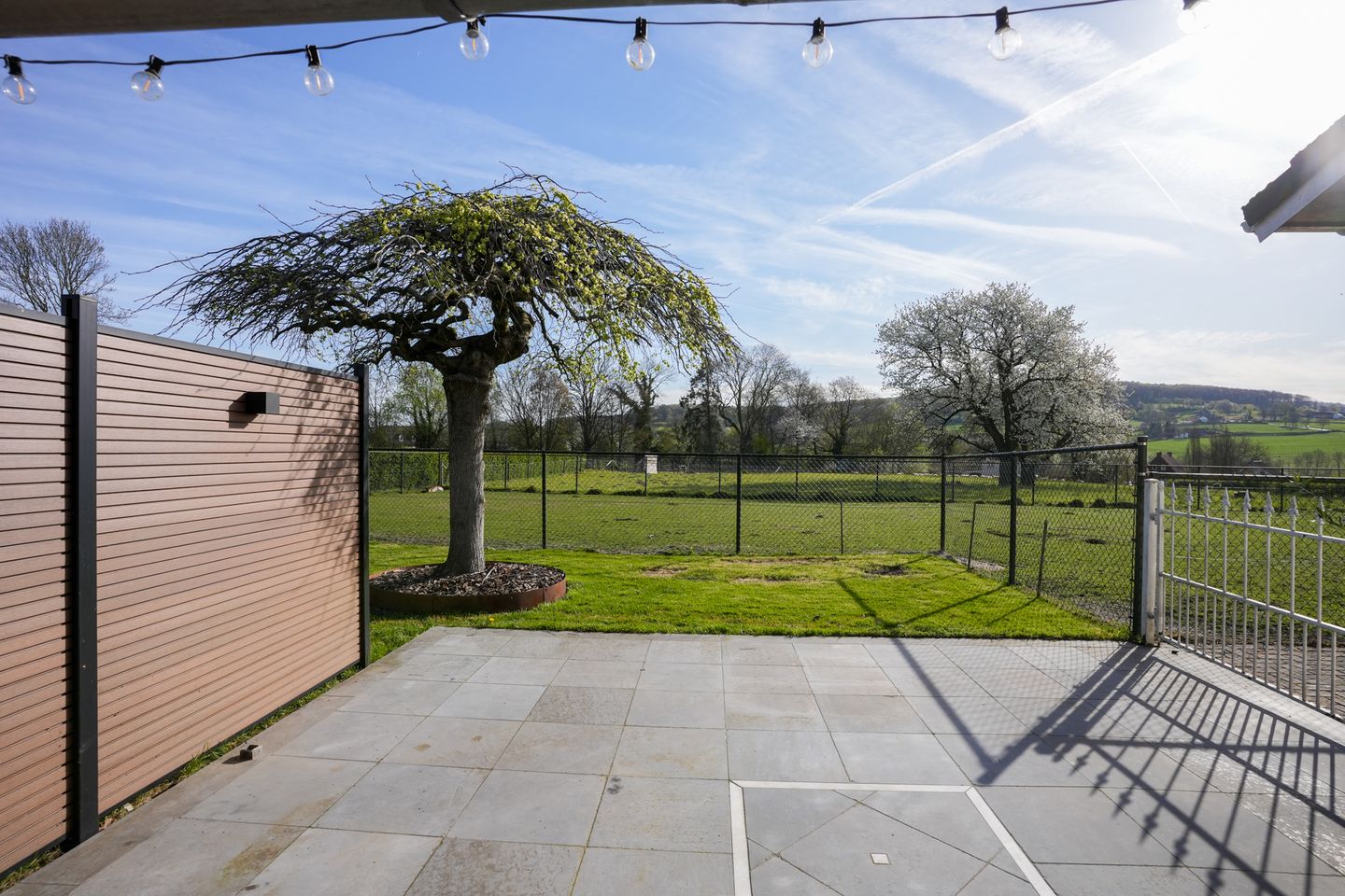 Photo 25 of Wilhelminastraat 61