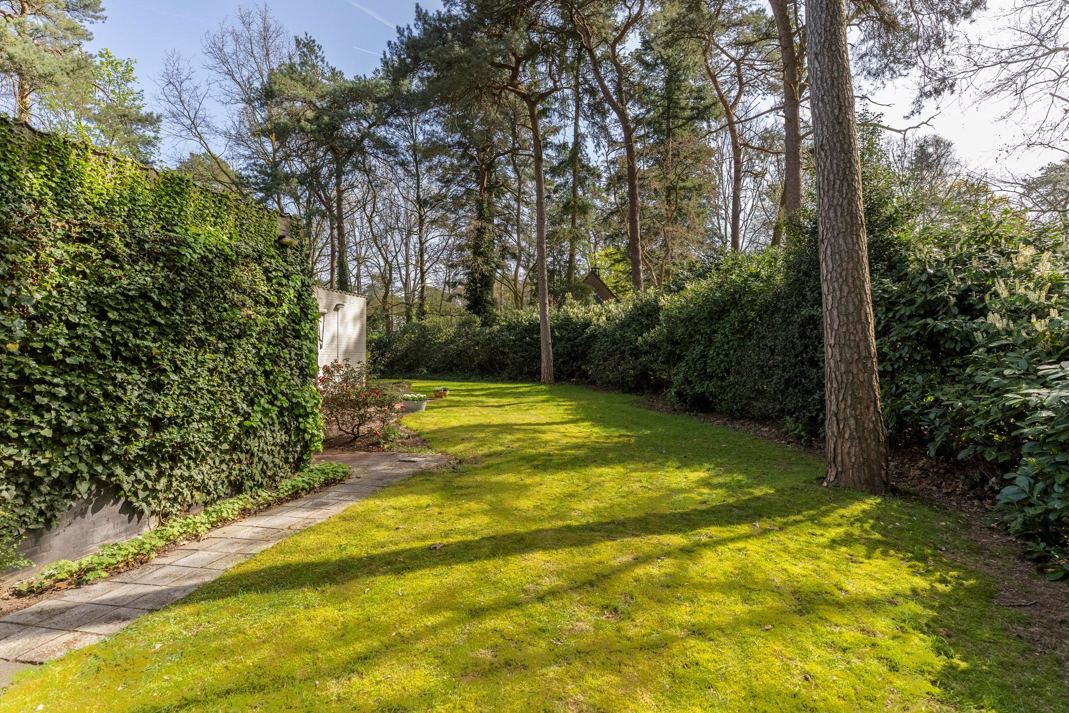 Foto 63 van Beverlaan 5