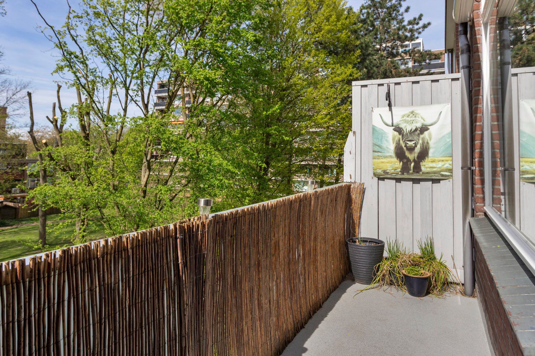 Foto 27 van Kardoenhof 53