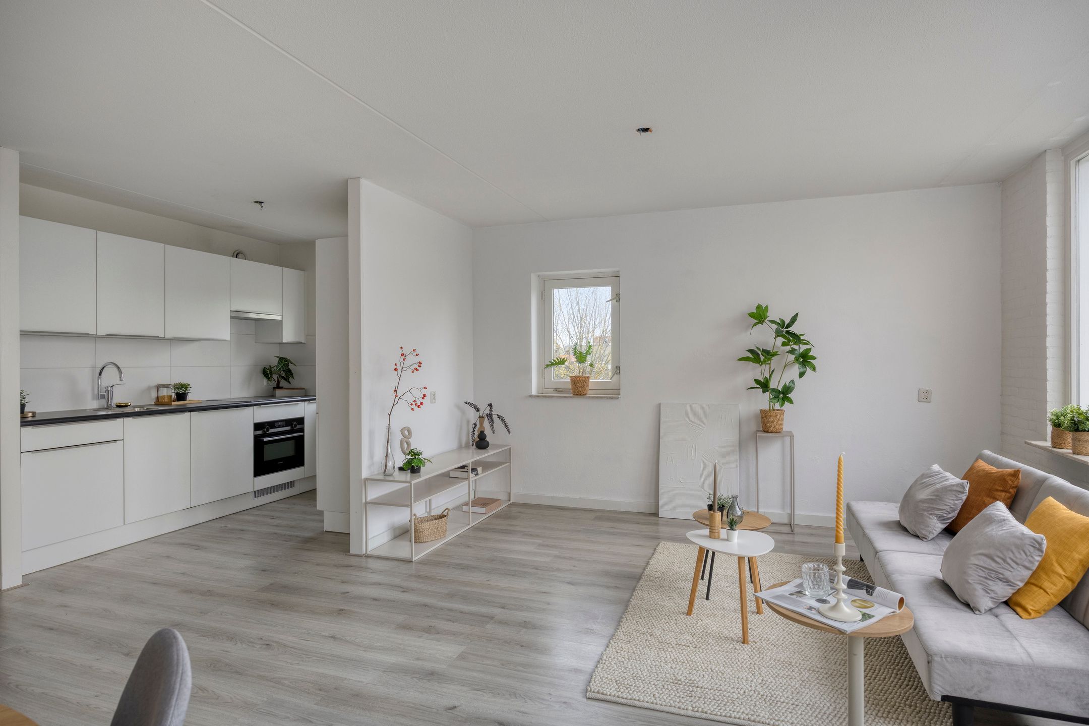 Foto 12 van Zernikestraat 158