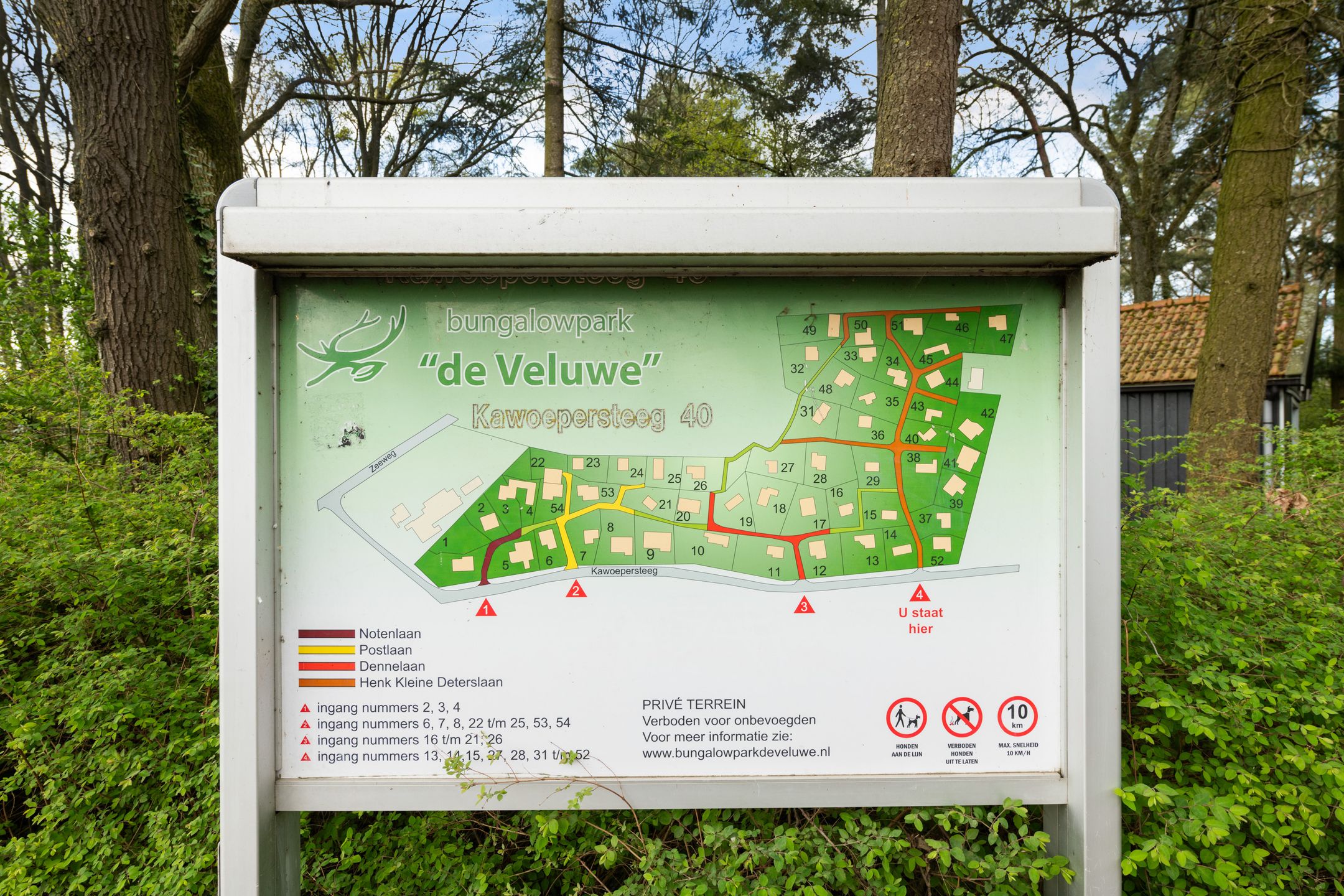 Foto 36 van Kawoepersteeg 40-47