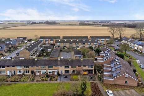 Tulpstraat thumbnail