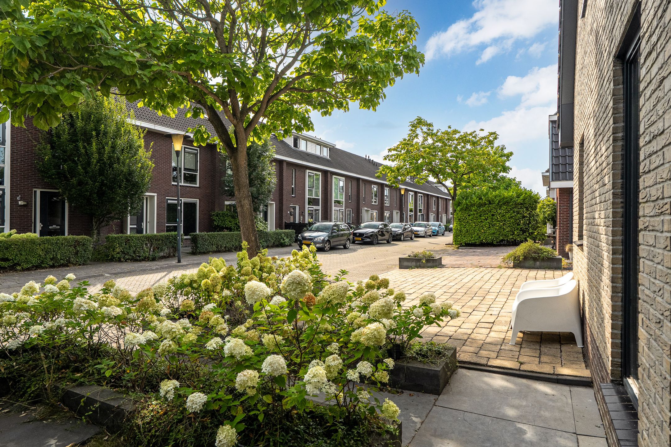 Foto 69 van Suder Stienplaat 17