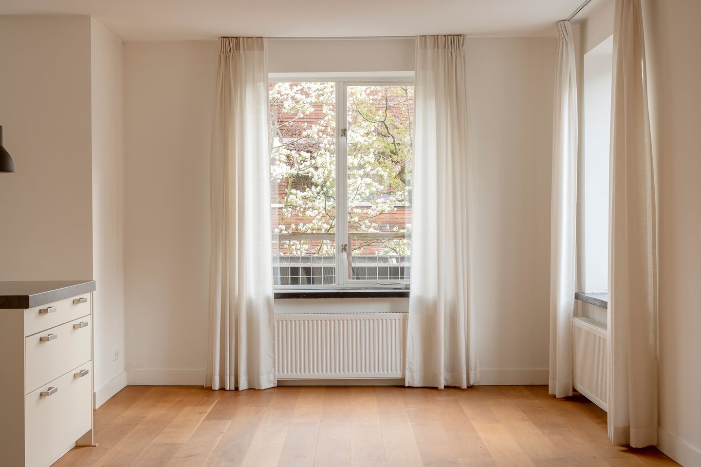 Foto 19 van Van Alkemadelaan 257