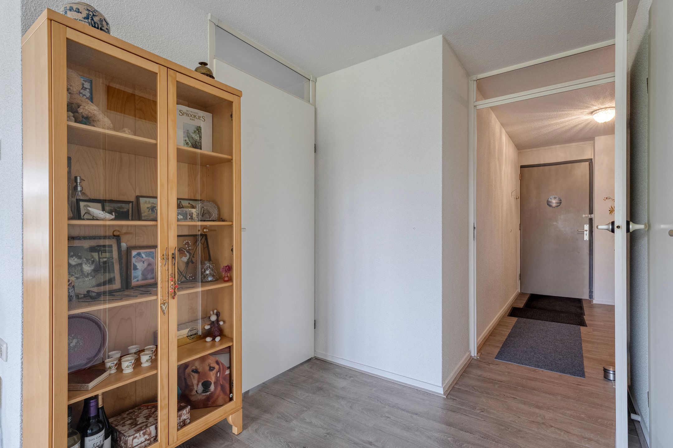 Photo 9 of van Emstplein 45