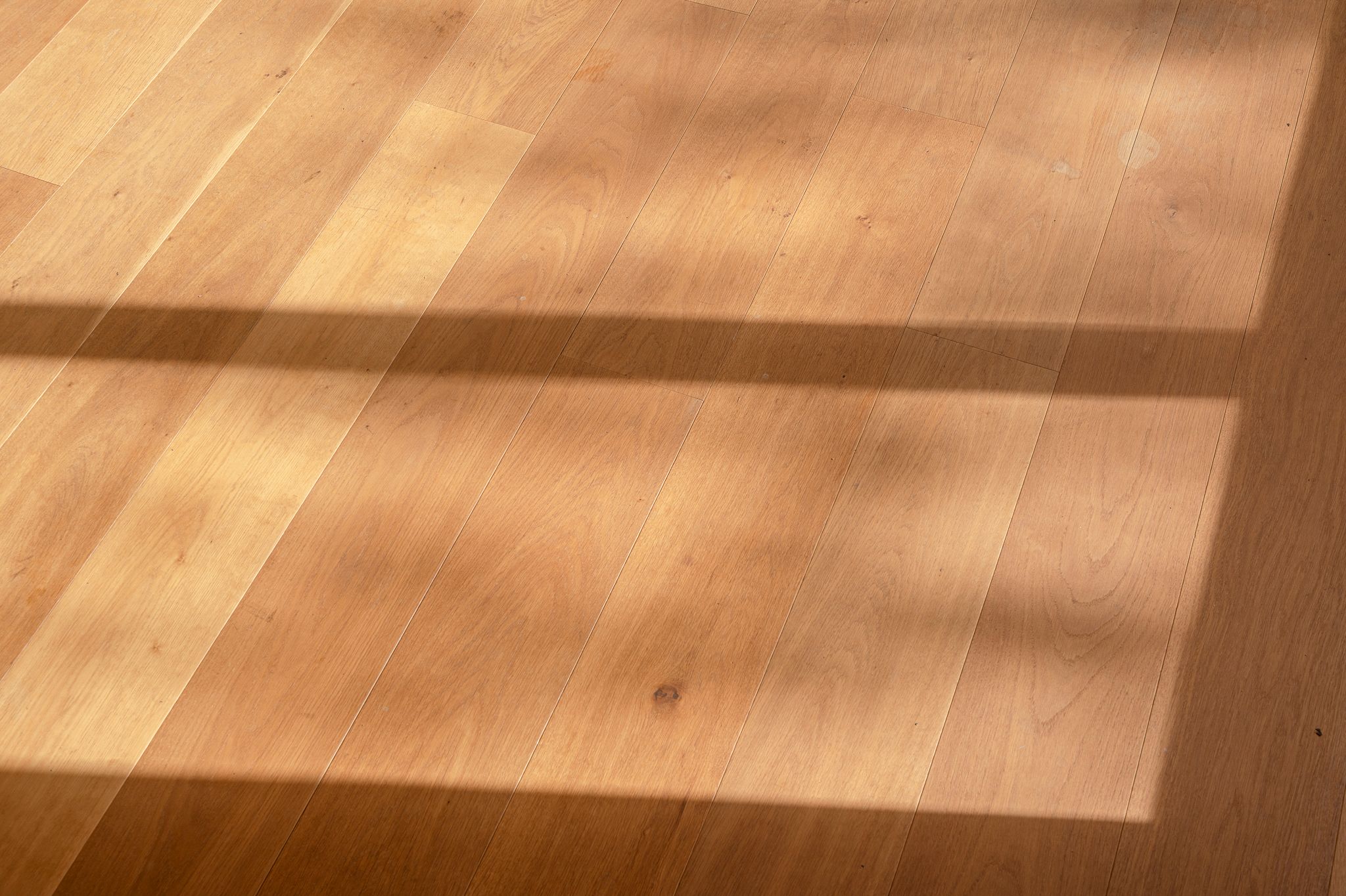 Foto 21 van Van Alkemadelaan 257