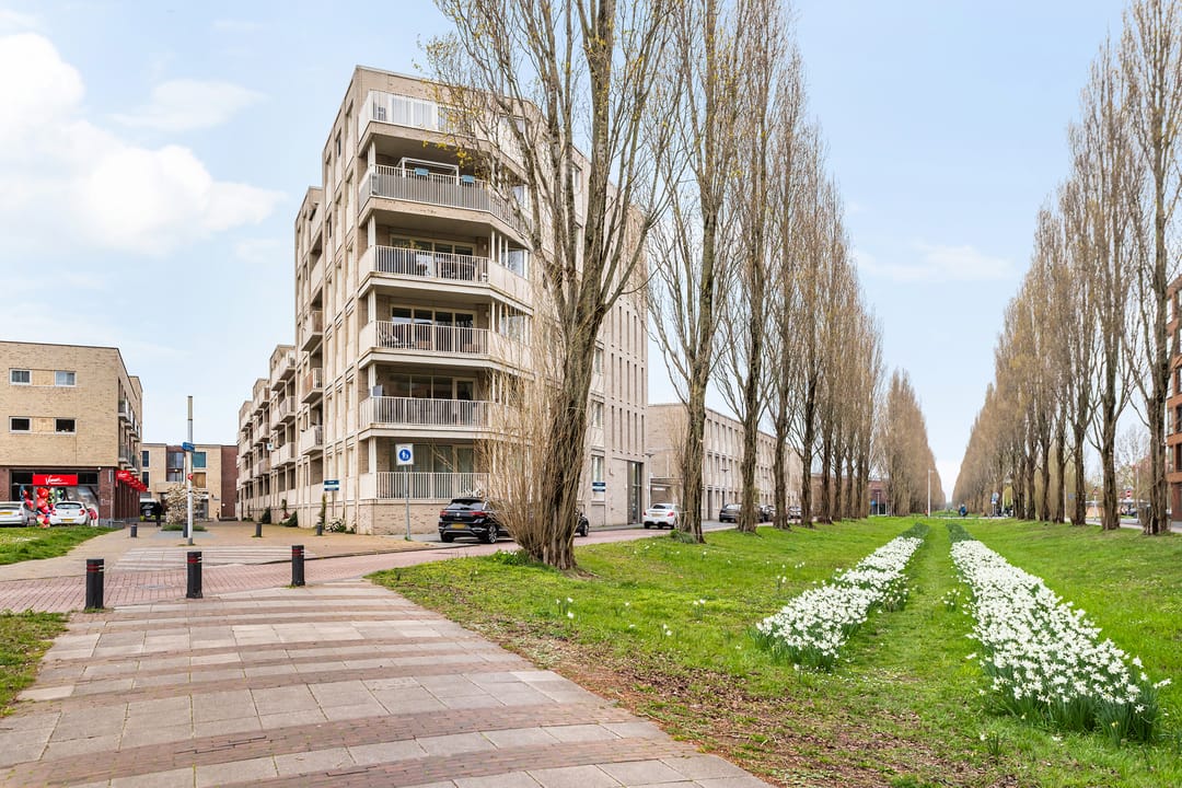 Foto 1 van Bing Crosbypad 19