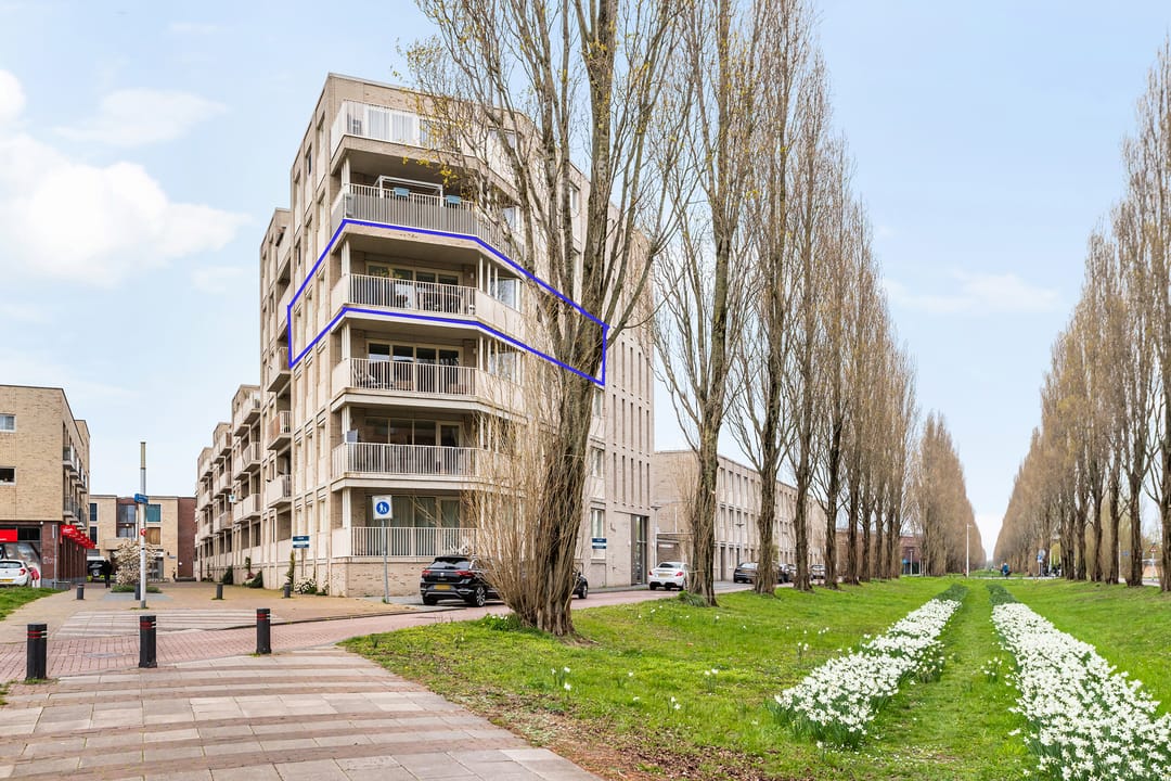 Foto 2 van Bing Crosbypad 19