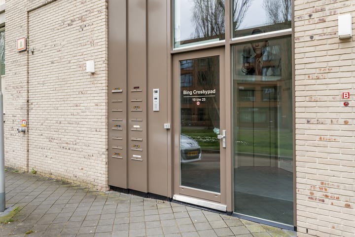 Foto 3 van Bing Crosbypad 19