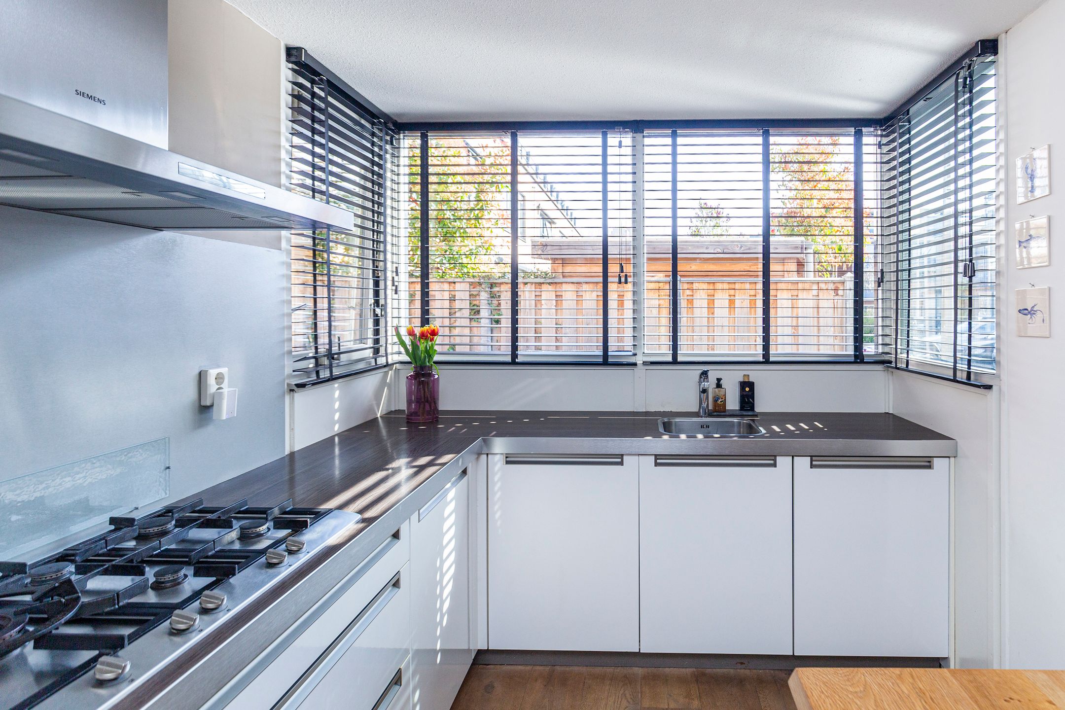 Foto 12 van Hof van Robijn 9