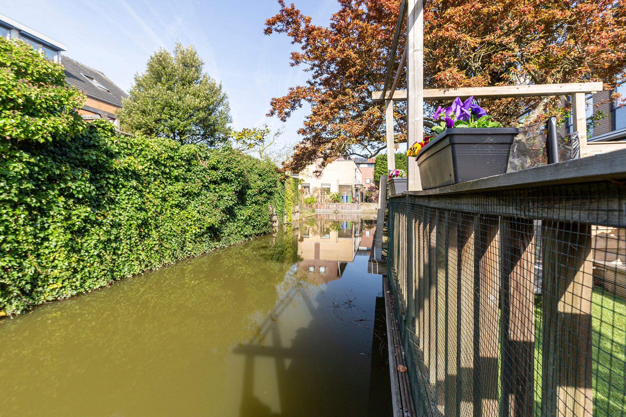 Foto 51 van Hof van Robijn 9