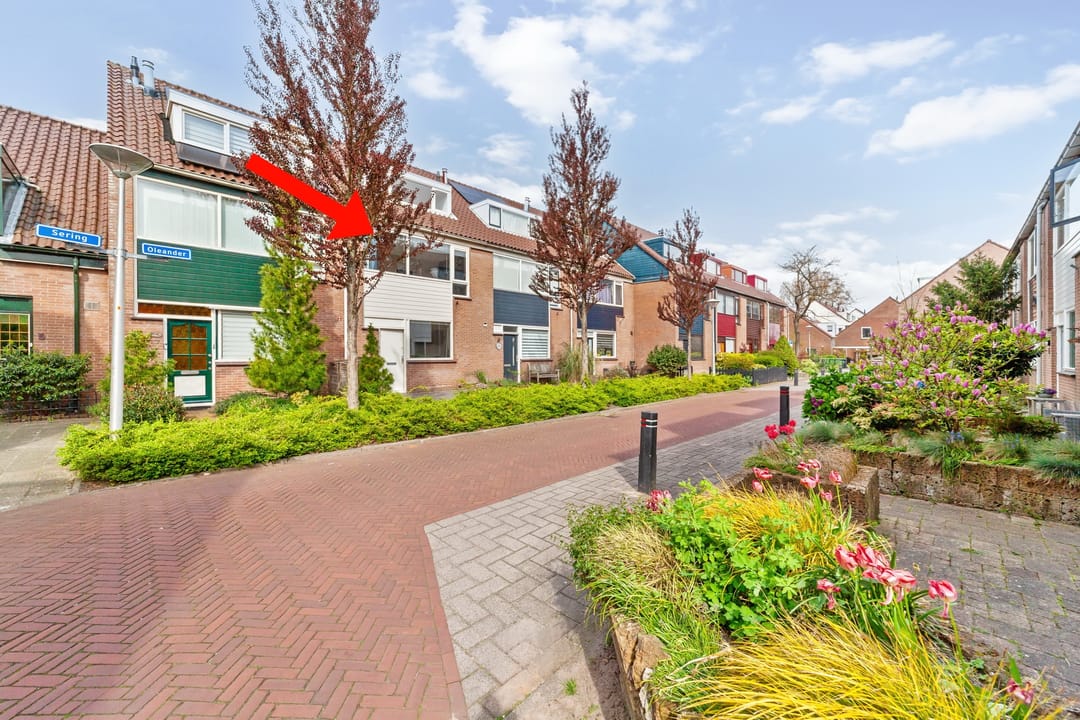 Foto 37 van Oleander 9