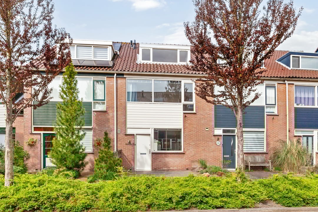 Foto 1 van Oleander 9