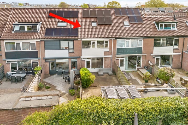 Foto 2 van Oleander 9