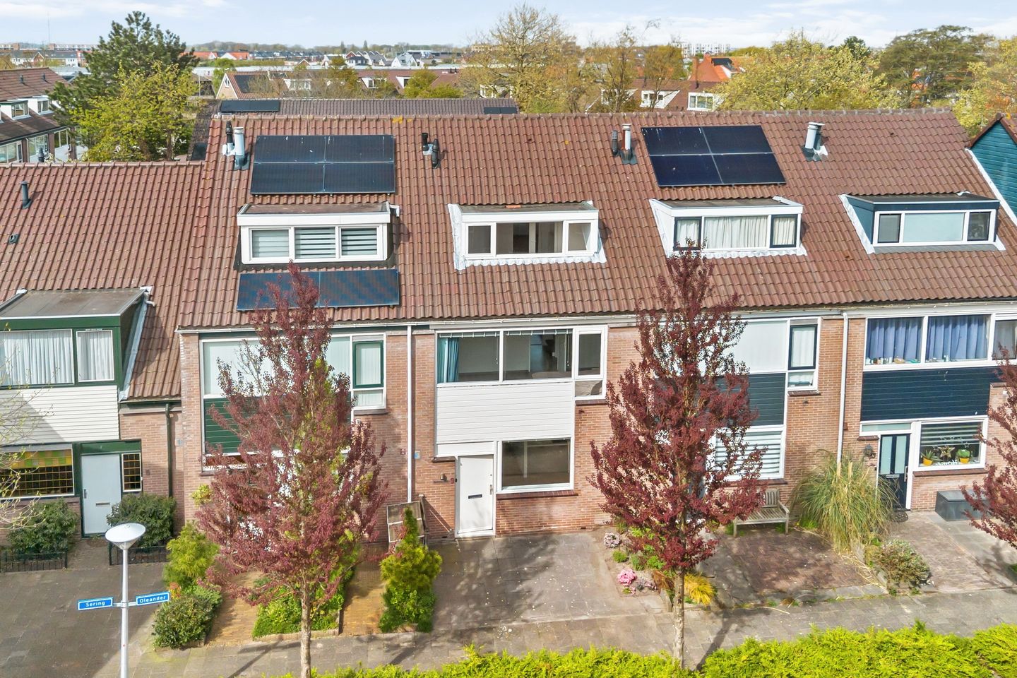 Foto 35 van Oleander 9