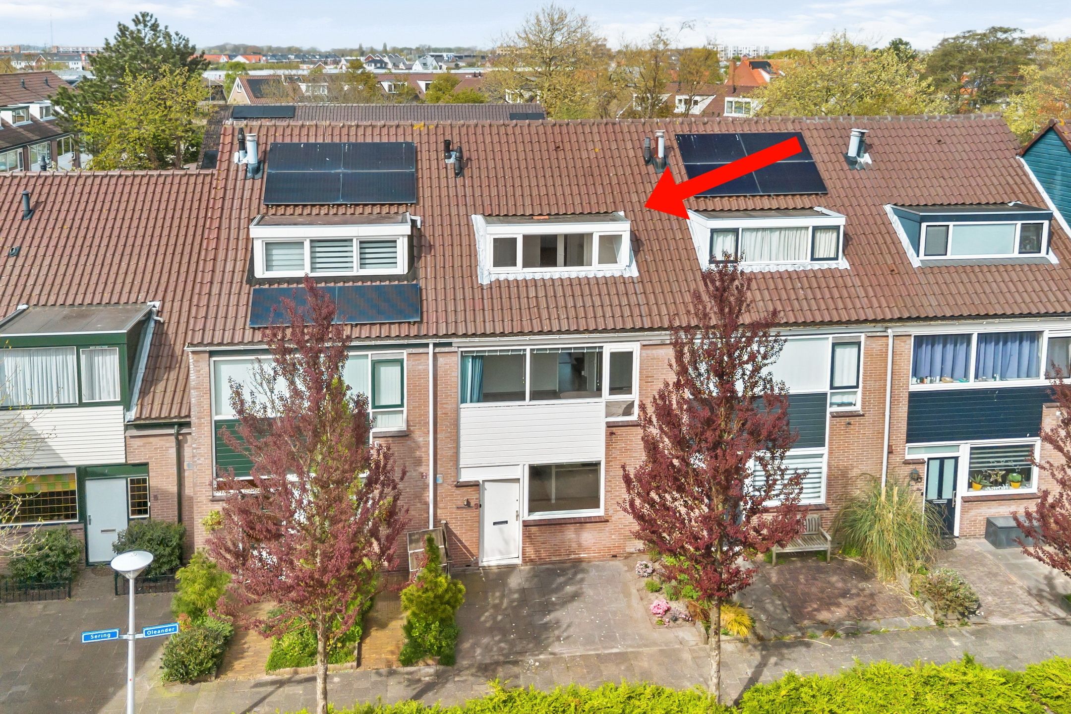 Foto 36 van Oleander 9